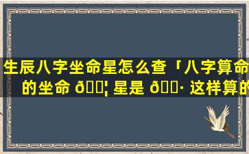 生辰八字坐命星怎么查「八字算命的坐命 🐦 星是 🌷 这样算的」